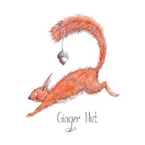 DRC Illustrations Ginger Nut