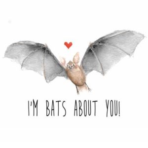 DRC Illustrations Bats About You