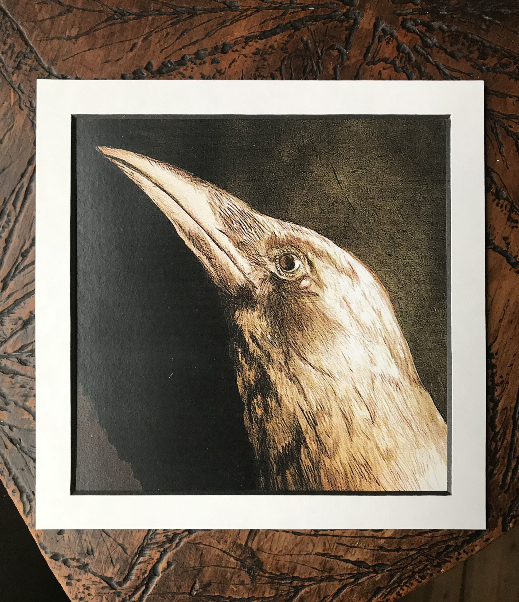 The Oracle (crow)