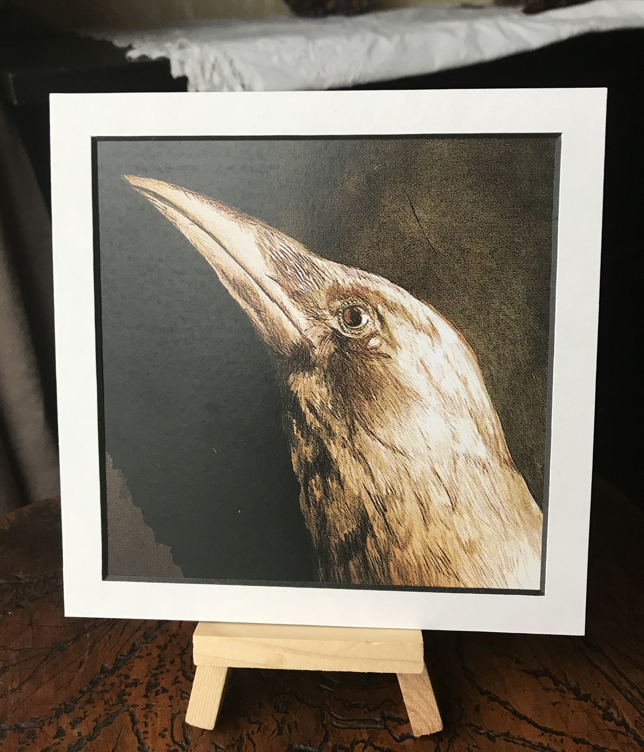 The Oracle (crow)