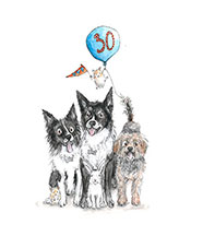 DRC Illustrations Commissions lots of beasts
